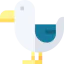 Seagull icon 64x64
