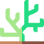 Coral icon 64x64