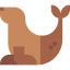 Seal icône 64x64