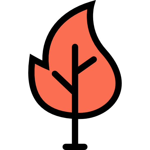 Fire icon
