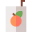 Juice icon 64x64