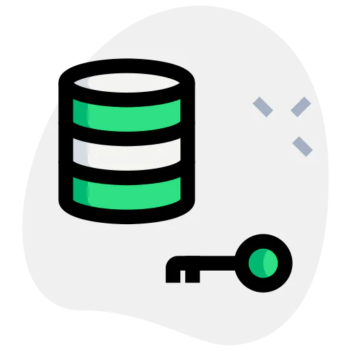 Key icon