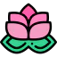Lotus icon 64x64