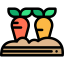 Carrots icon 64x64