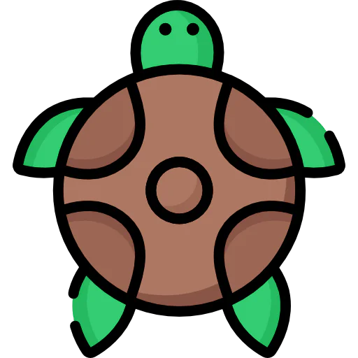 Tortoise icon