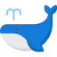 Whale icon 64x64