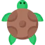 Tortoise icône 64x64