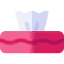 Tissue icon 64x64