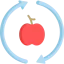 Healthy food icon 64x64