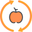 Healthy food icon 64x64