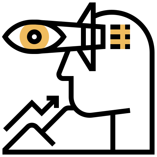 Vision icon