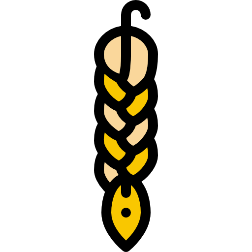 Braid icon