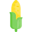 Corn icon 64x64