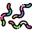 Worm icon 64x64