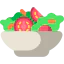 Salad icon 64x64
