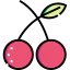 Cherry icon 64x64