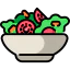 Salad icon 64x64