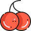 Cherry icon 64x64