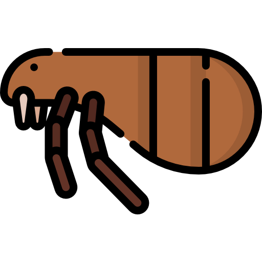 Flea icon