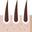 Dermathology 상 64x64
