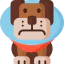 Dog icon 64x64