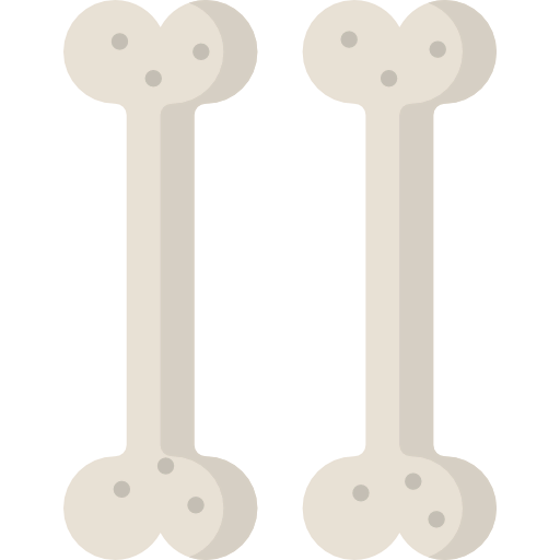Bones icon