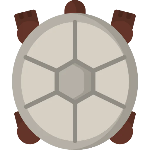 Turtle icon