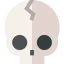 Skull icon 64x64