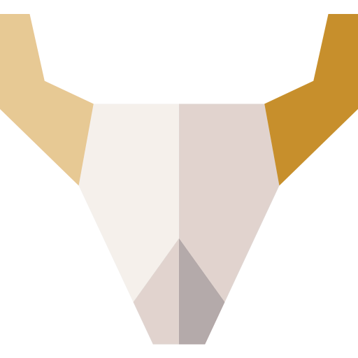 Skull icon