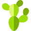 Cactus icon 64x64