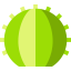 Cactus icon 64x64