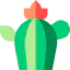 Cactus icon 64x64