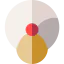 Turban icon 64x64