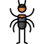Spider icon 64x64