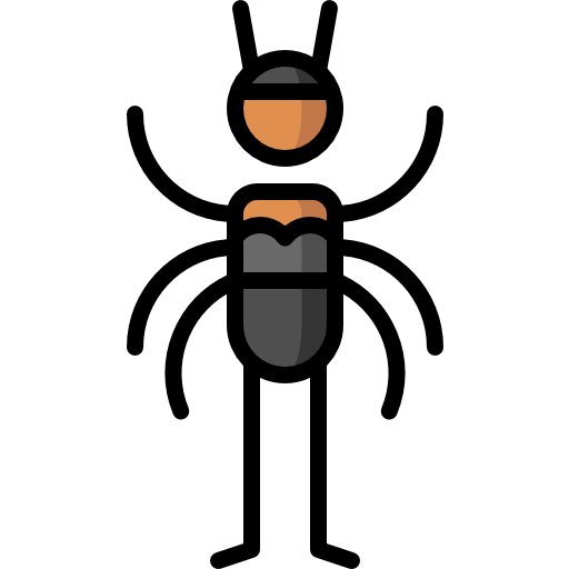 Spider icon