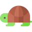 Turtle icon 64x64