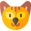Cat icon 64x64
