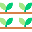 Sprouts ícono 64x64