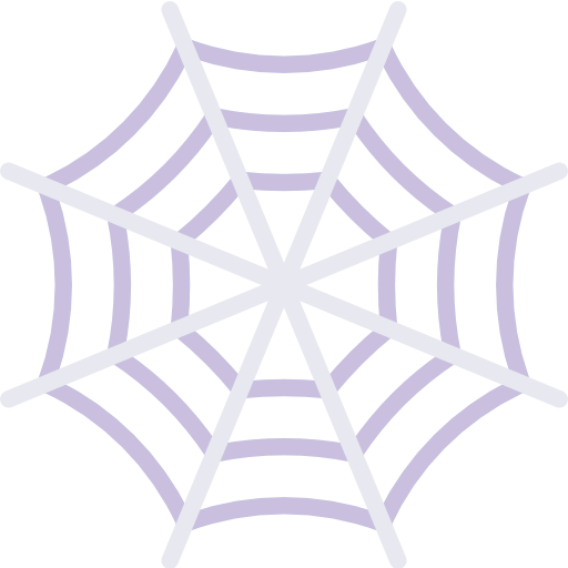 Spider web icon