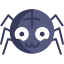 Spider icon 64x64