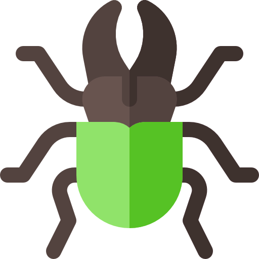 Beetle icon