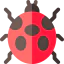 Ladybug icon 64x64