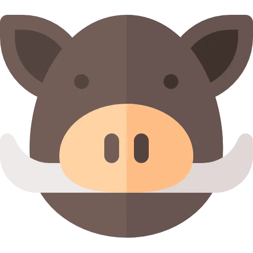 Boar icon