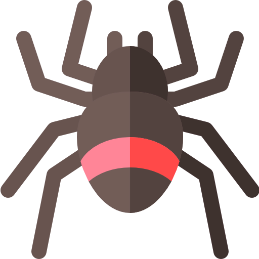 Spider icon
