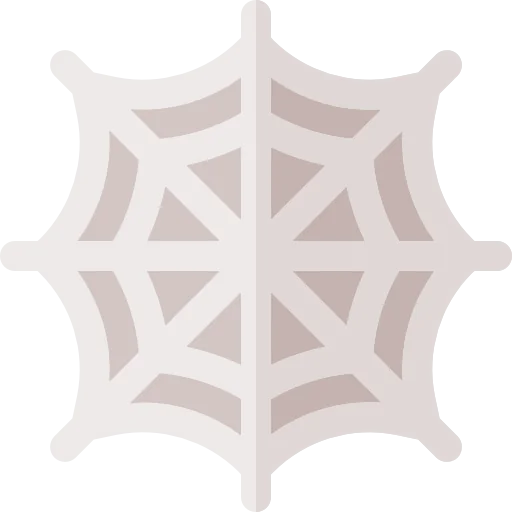 Spider web icon