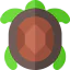 Turtle icon 64x64