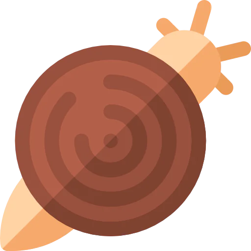 Snail icon