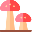 Mushroom icon 64x64