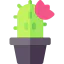 Cactus icon 64x64