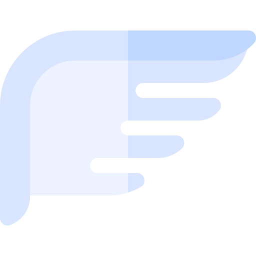 Wings icon